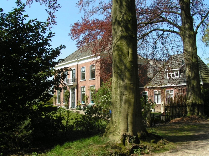 Het bakstenen herenhuis van Landgoed Wissink achter een oude boom