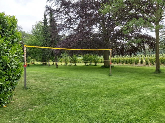 Het volleybalveld